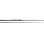 W2 Powercast-T (2,48m) (20-80gr)