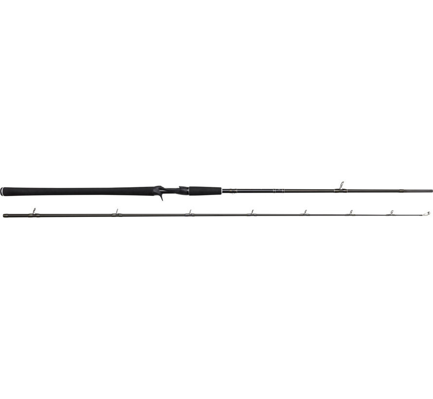 W2 Powercast-T (2,48m) (20-80gr)