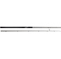 W2 POWERCAST (2,48m) (20-80gr)