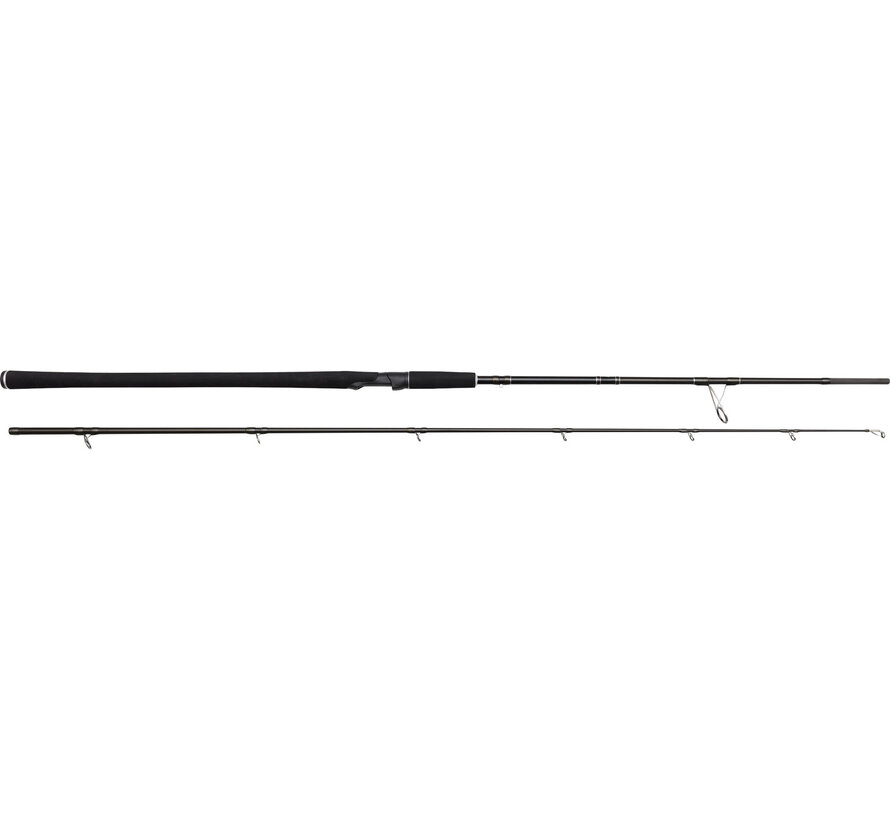 W2 POWERCAST (2,48m) (20-80gr)
