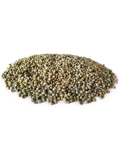 TIJGERNOTEN KOPEN Hennep (2.5kg)