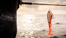 Vissen met jerkbaits