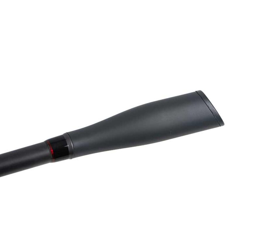 Warrior Pike Cast (2.30m) (20-80gr)