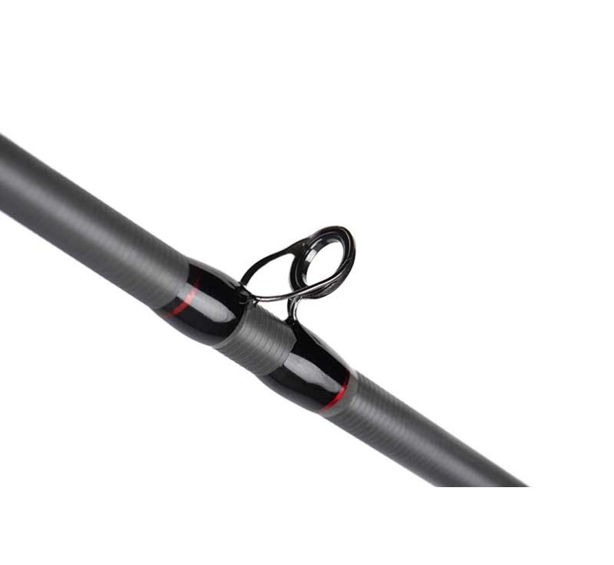 Warrior Pike Cast (2.30m) (20-80gr)