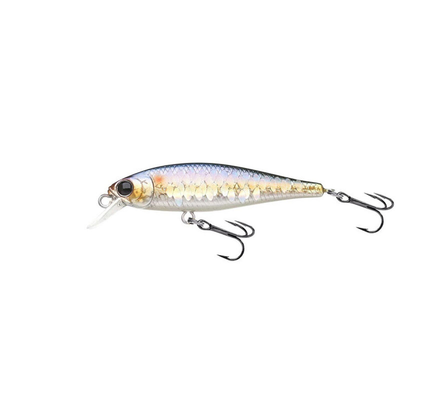 Pointer 48 (4.8cm) (2.6gr)