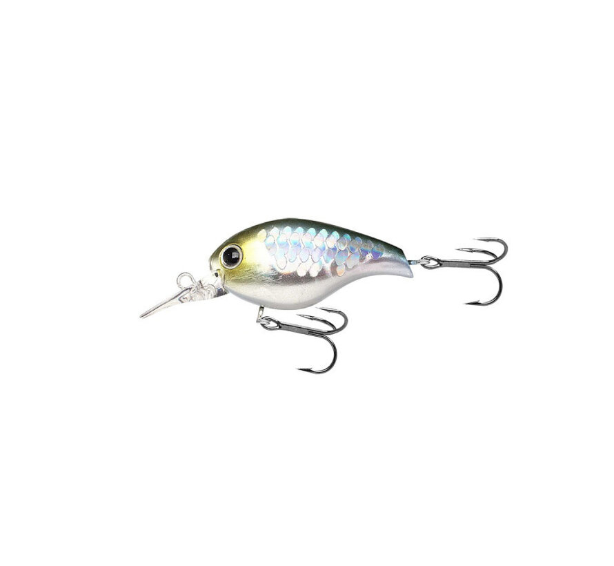 Clutch MR (4.2cm) (6gr)