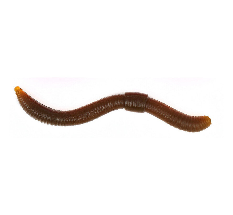 Dendrobaena 60 Nep Worm (15stuks)