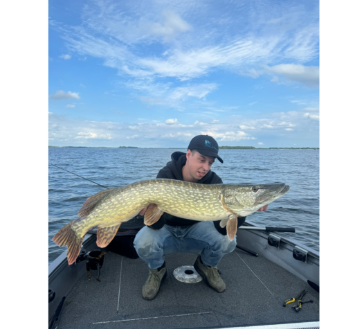 Savage gear savage blades