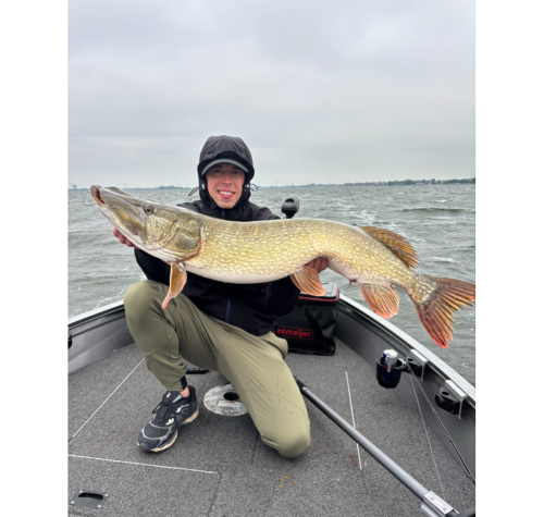 Rozemeijer DR. Skirt Tandem