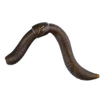 POLE POSITION POP-UP Worms (10stuks)