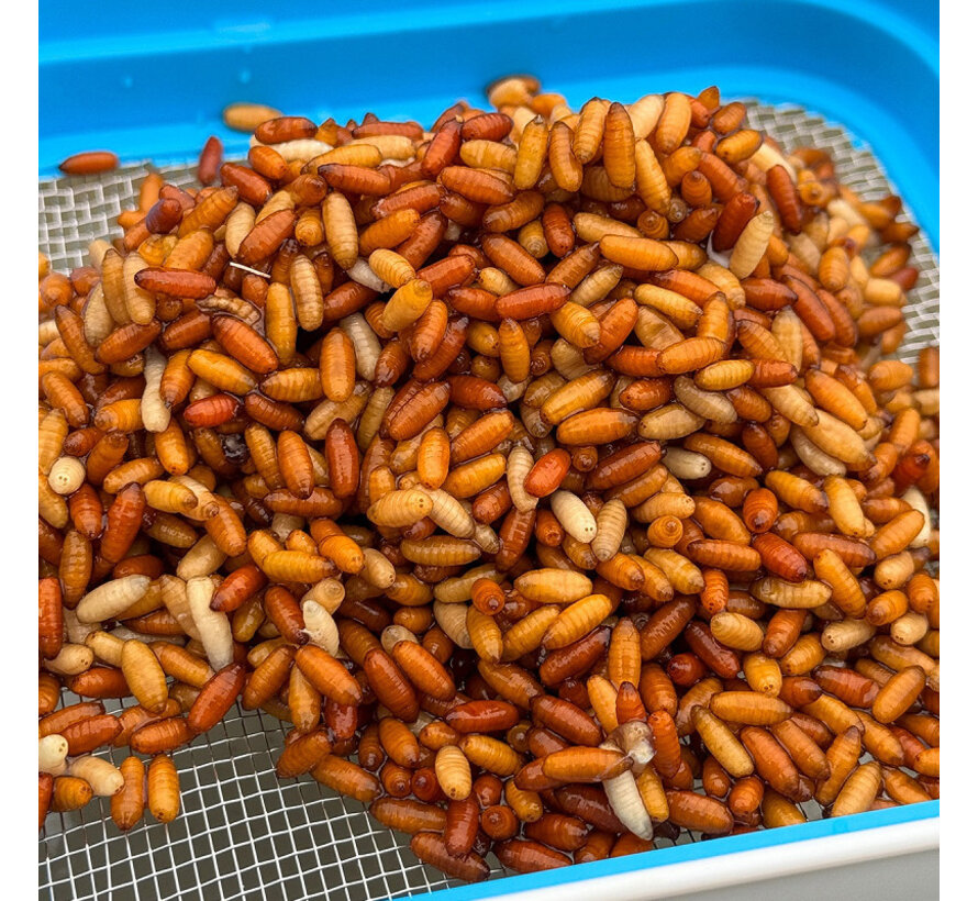 Bait Tube Metal Riddle