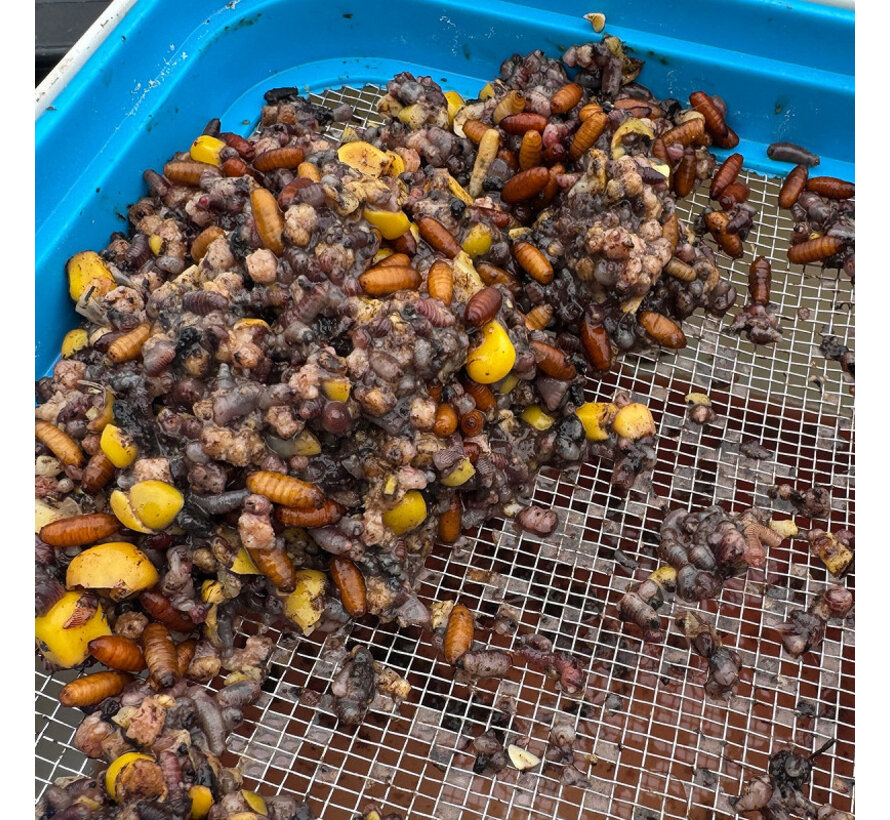 Bait Tube Metal Riddle