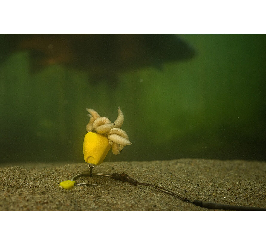 Corn Maggot Clip (5stuks)