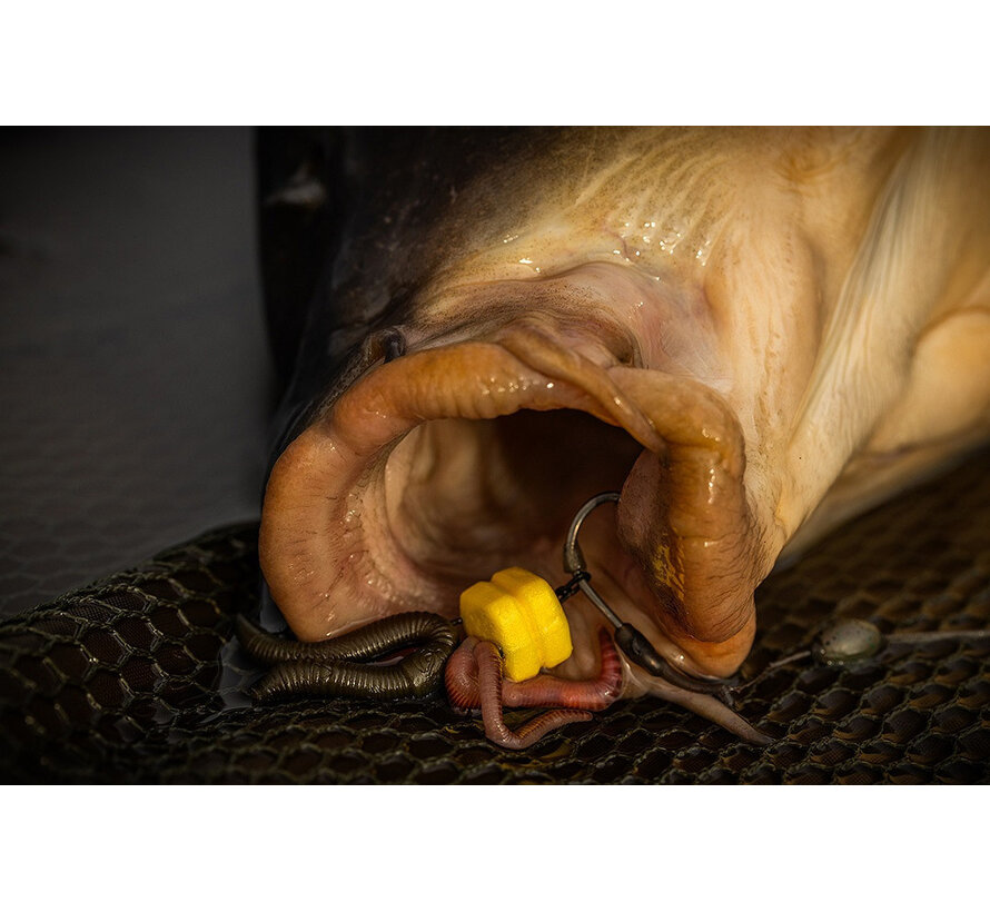 Corn Maggot Clip (5stuks)