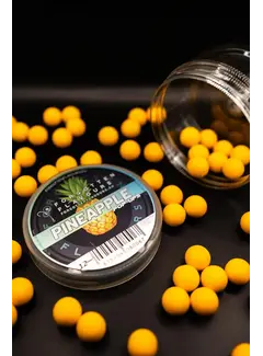 FORGOTTEN FLAVOURS Pineapple Pop-Ups