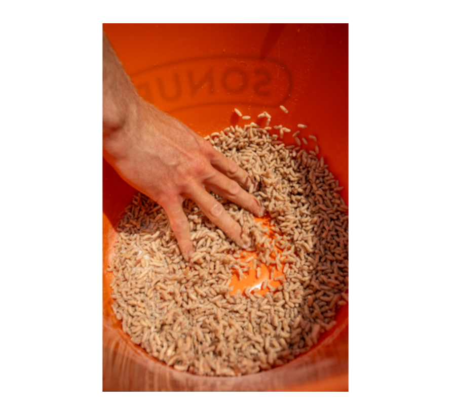 Maggot Glue (300gr)