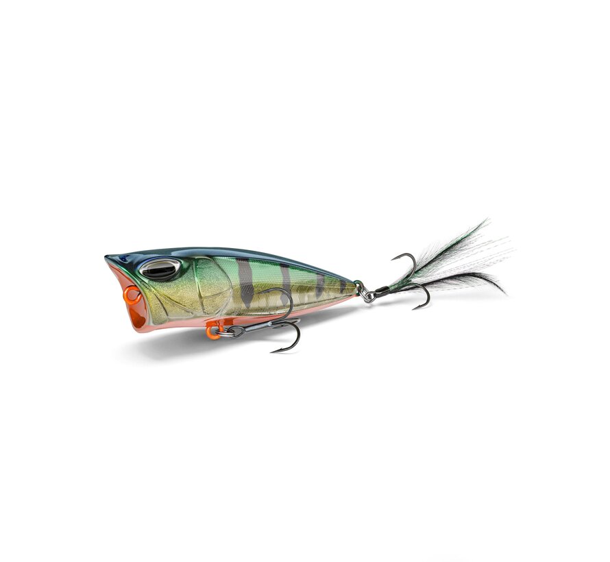 TP GN (6.5cm) (8gr)