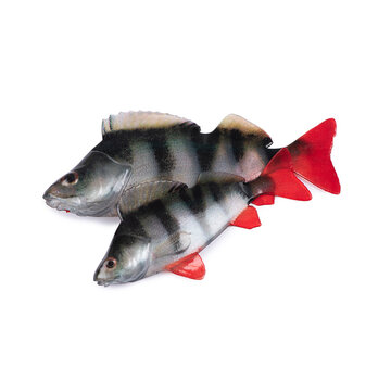 FOX RAGE Fox Rage Ultra Natural Perch Fillet