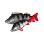 Fox Rage Ultra Natural Perch Fillet