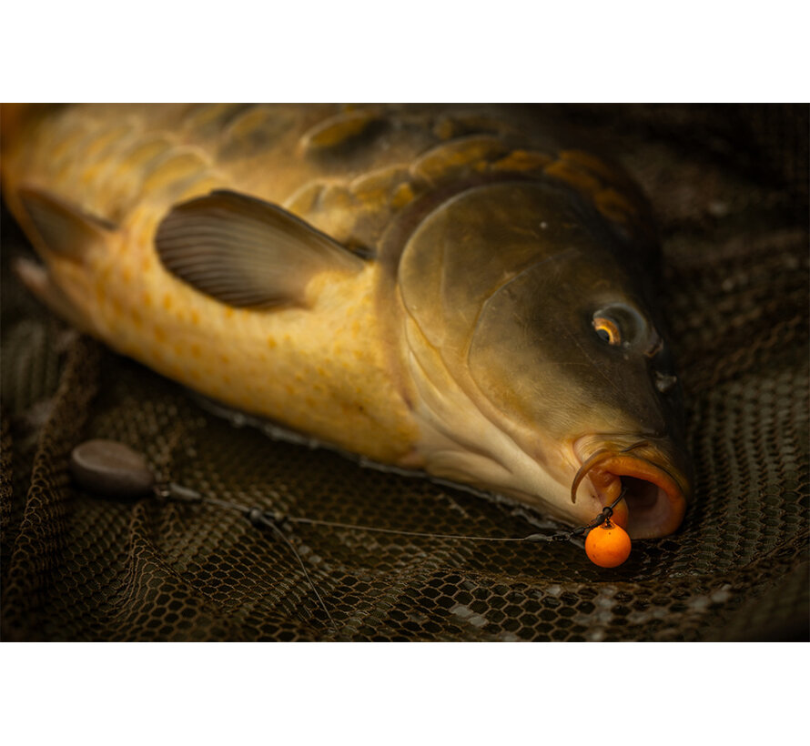 Kickdown Stiff Coated Hooklink (10m)