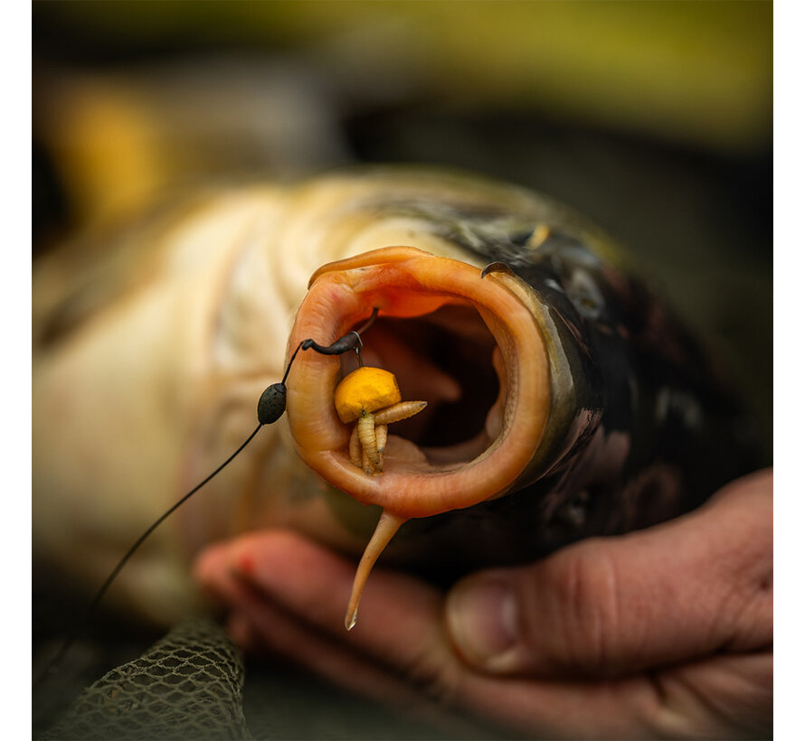 Knockdown Soft Coated Hooklink (10m)