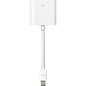 Apple Mini DisplayPort auf-DVI-Adapter