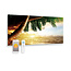 Quality Heating Panneau infrarouge en verre imprimé avec wifi et télécommande palmier 119x59 700Watt