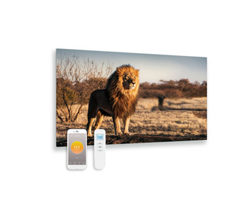 Quality Heating Panneau infrarouge en verre imprimé avec wifi et télécommande lion 100x59 580Watt