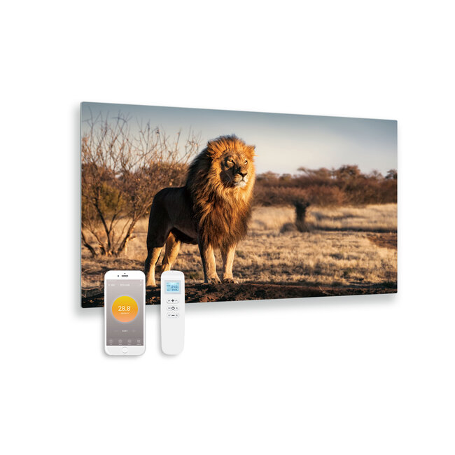 Quality Heating Panneau infrarouge en verre imprimé avec wifi et télécommande lion 100x59 580Watt