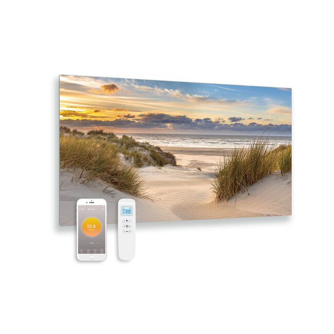 Quality Heating Panneau infrarouge en verre imprimé avec wifi et télécommande plage 100x59 580Watt