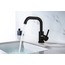 Nurion Robinet de lavabo avec bec pivotant à 180 degrés