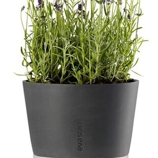 Eva Solo selfwatering flowerpot 25 cm stone grey