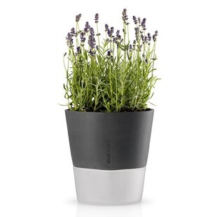 Eva Solo selfwatering flowerpot 25 cm stone grey