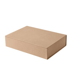 Fritz Hansen leather box large