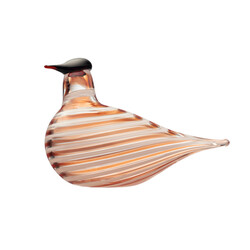 iittala birds jaarvogel 2022 crake