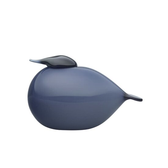 Iittala Birds by Toikka Kuulas rain 140x90mm