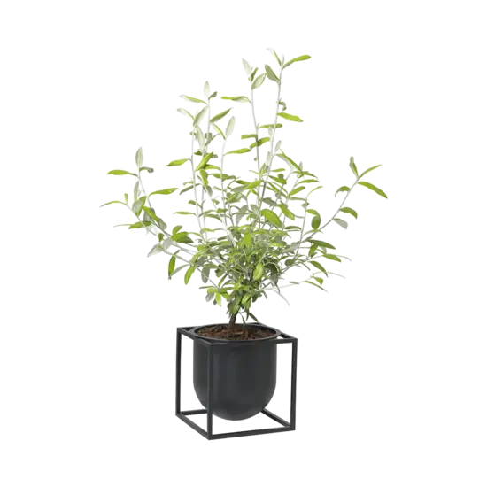 By Lassen by lassen kubus 14 vaas zwart