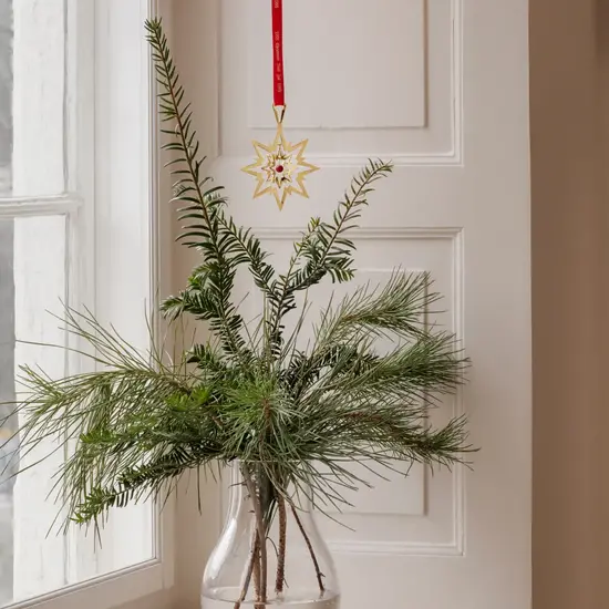 Georg Jensen Georg Jensen jaarstuk 1993/2023 ster goud