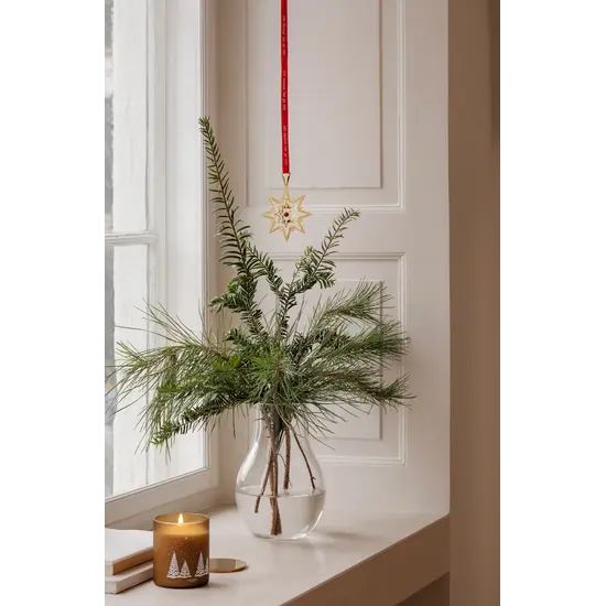 Georg Jensen Georg Jensen jaarstuk 1993/2023 ster goud