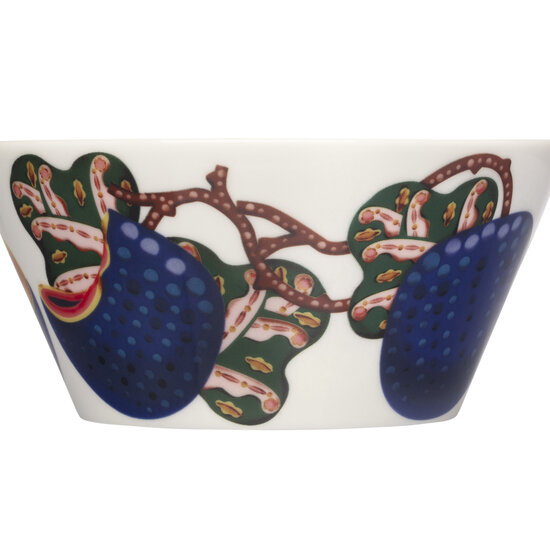 Iittala iittala Taika bowl 0,6L Sato