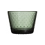 Iittala Tundra tumbler 16cl pine green 2pc
