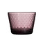 Iittala Tundra tumbler 16cl calluna 2pc