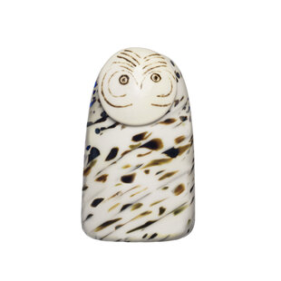 iittala Sneeuwuil 100 x 160 mm