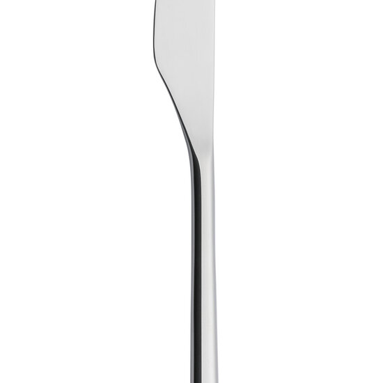Iittala iittala artik dessert knife