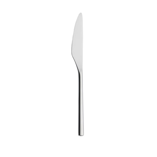 Iittala Artik dessert knife