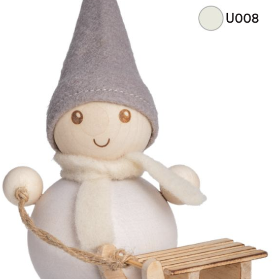 Aarikka aarikka elf frost met slee