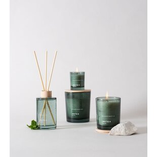 skandinavisk arktis geurstokjes 100 ml