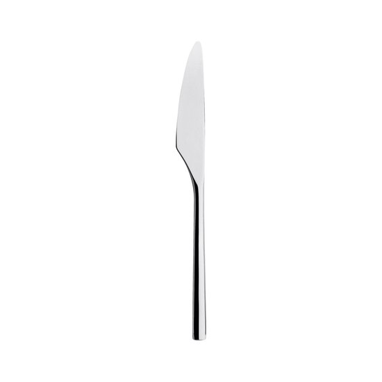 Artek iittala artik dinner knife