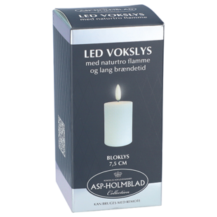 asp-holmblad led waxinelicht set 2