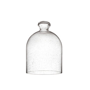 Iittala glass dome 160x220 bubble glass